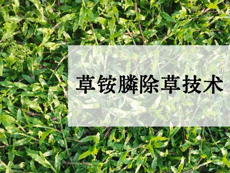 草铵膦除草